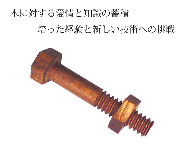 経験と新しい技術